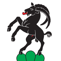 CHE Steinhausen Flag